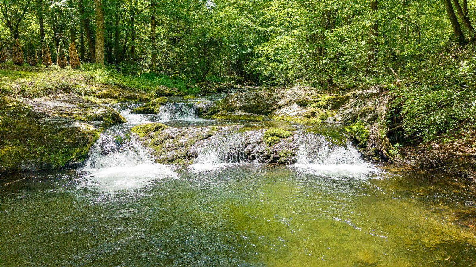 Swimming Hole
